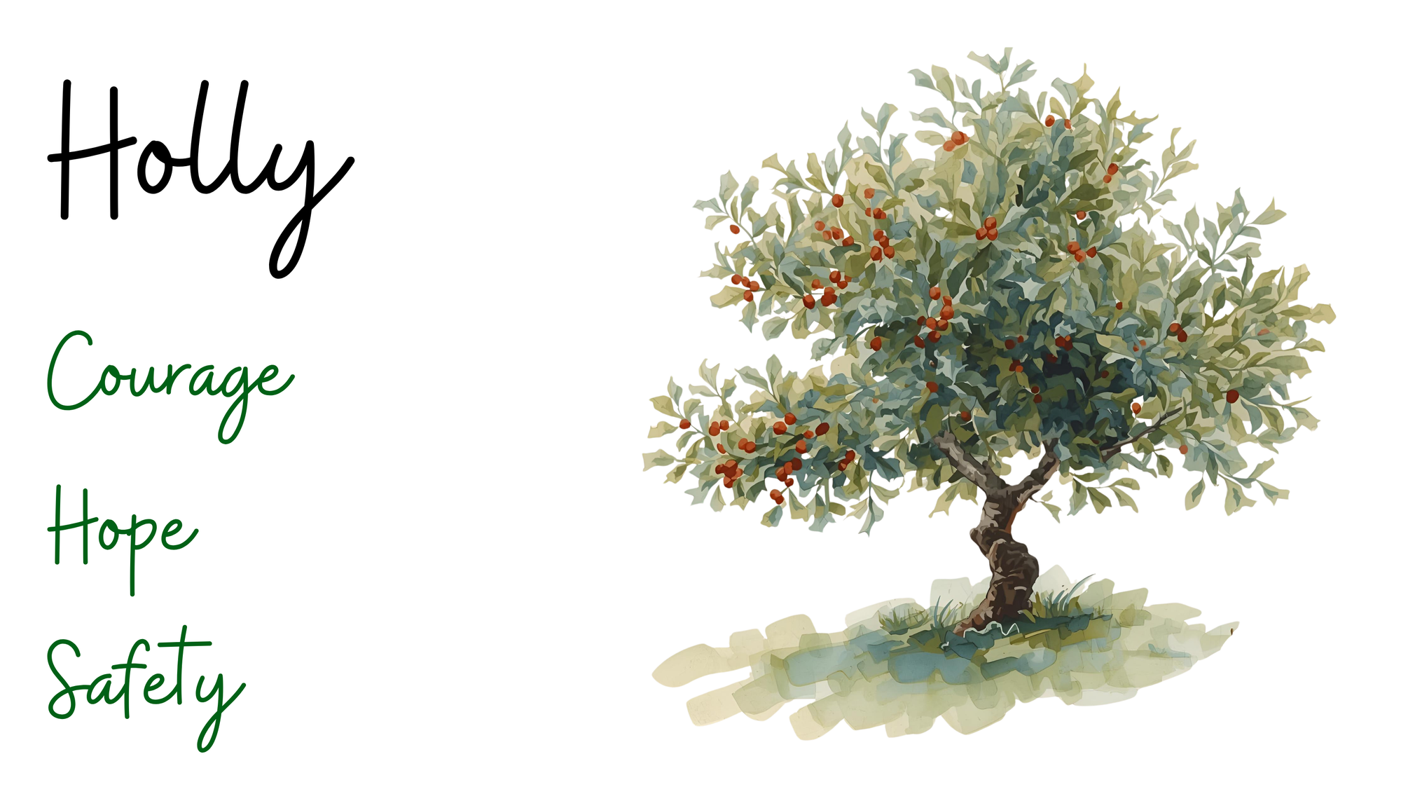 Holly