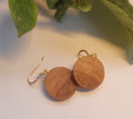 Apple Earrings