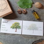 A styled flat-lay of a walnut-themed gift set on a large gray stone slab. The set includes a light brown kraft paper box with a circular logo, a small glass bottle of golden oil, two wooden oval earrings, a green leaf, a walnut shell, and two white cards with watercolor tree illustrations and text.