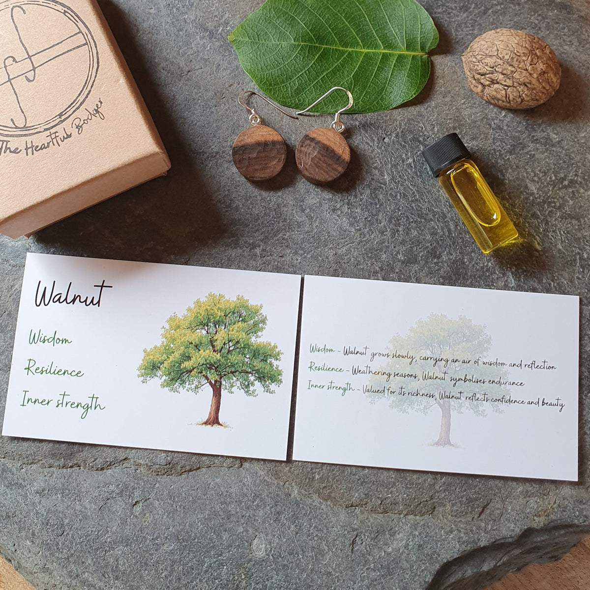 A styled flat-lay of a walnut-themed gift set on a large gray stone slab. The set includes a light brown kraft paper box with a circular logo, a small glass bottle of golden oil, two wooden oval earrings, a green leaf, a walnut shell, and two white cards with watercolor tree illustrations and text.