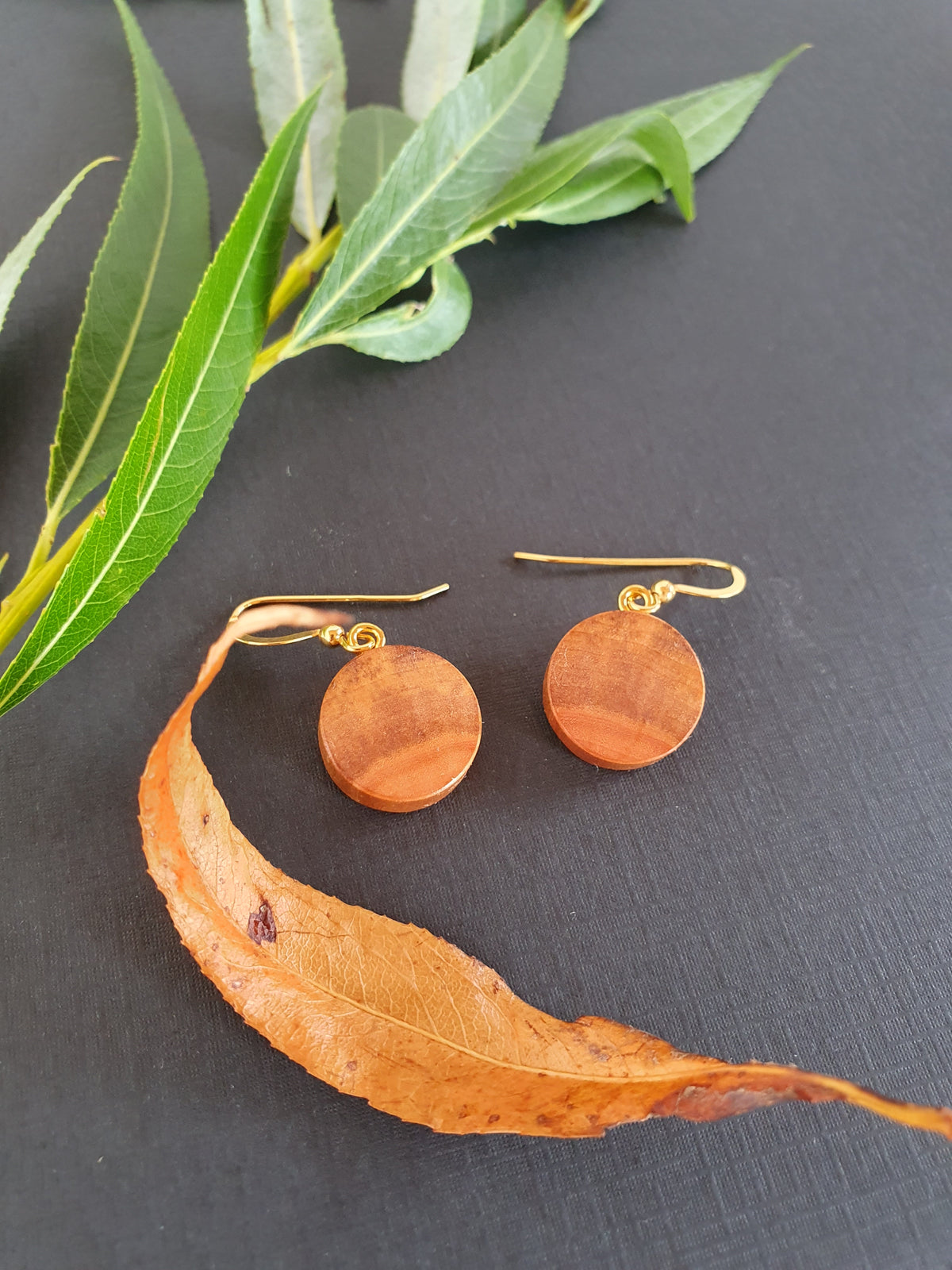 Willow wood earrings