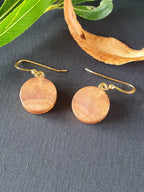 Willow wood earrings