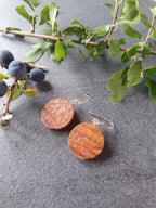 Blackthorn wood earrings
