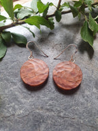 Blackthorn wood earrings