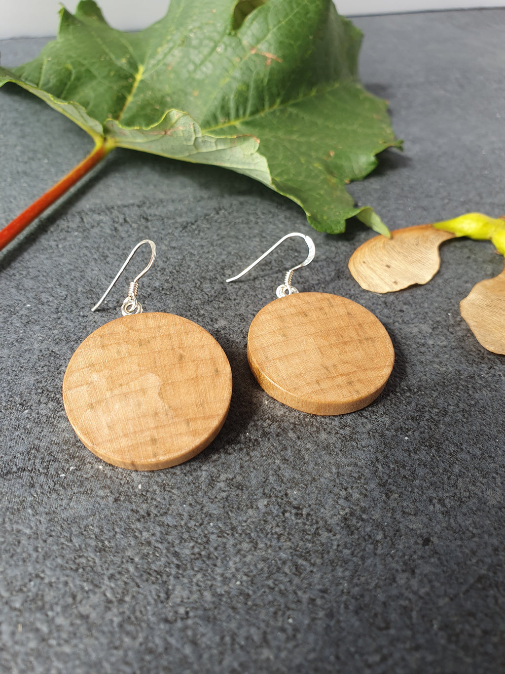 Sycamore wood earrings