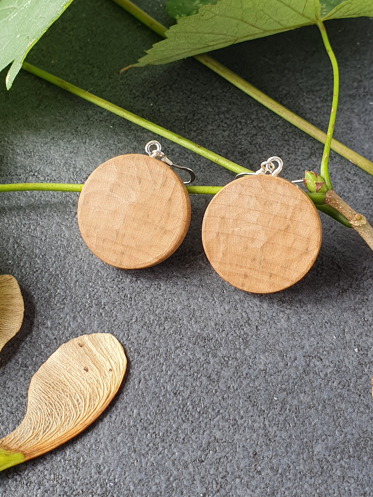 Sycamore wood earrings