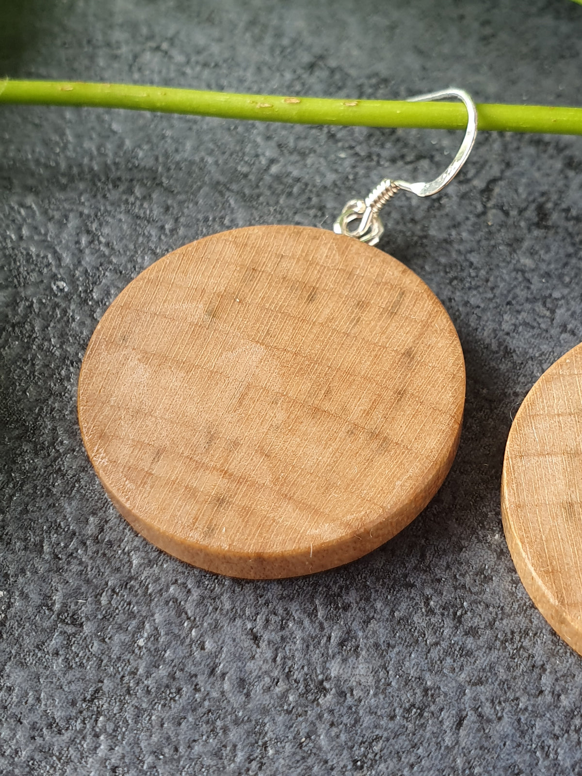 Sycamore wood earrings