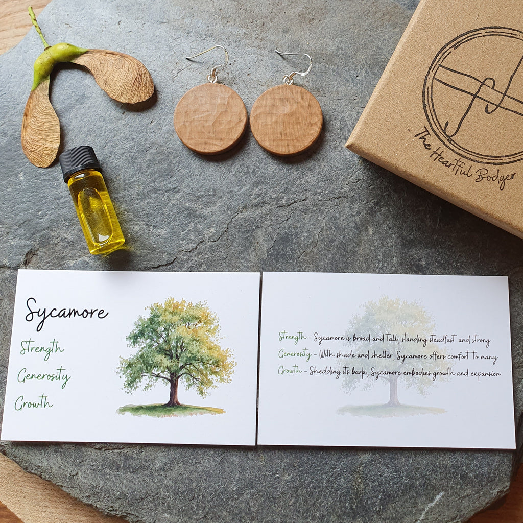 A styled flat-lay of a Sycamore-themed jewelry set on a gray stone slab, featuring two round wooden earrings, a small bottle of yellow oil, a pair of wooden seed pods, and a kraft paper gift box labeled 'The Sycamore Gift'. Two white cards with watercolor tree illustrations are placed in front.