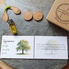 A styled flat-lay of a Sycamore-themed jewelry set on a gray stone slab, featuring two round wooden earrings, a small bottle of yellow oil, a pair of wooden seed pods, and a kraft paper gift box labeled 'The Sycamore Gift'. Two white cards with watercolor tree illustrations are placed in front.