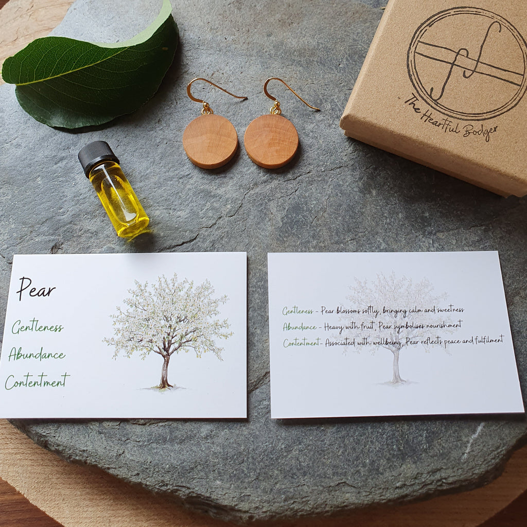 A styled flat-lay of a gift set on a round gray stone tray over a wooden surface. The set includes a small glass bottle of yellow oil, a green leaf, a pair of round wooden drop earrings, two printed cards with tree illustrations and text, and a kraft gift box with a logo.