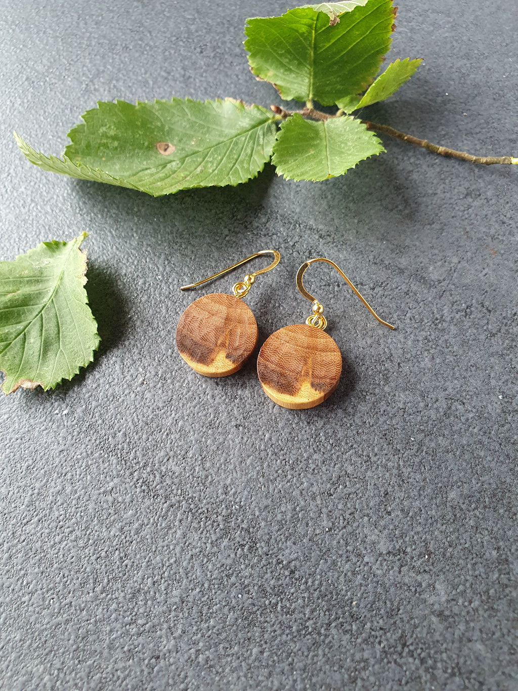 Elm wood earrings