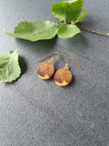 Elm wood earrings
