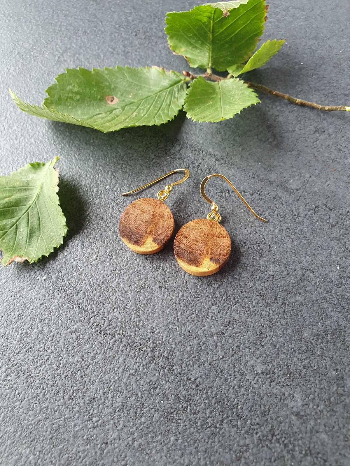 Elm wood earrings