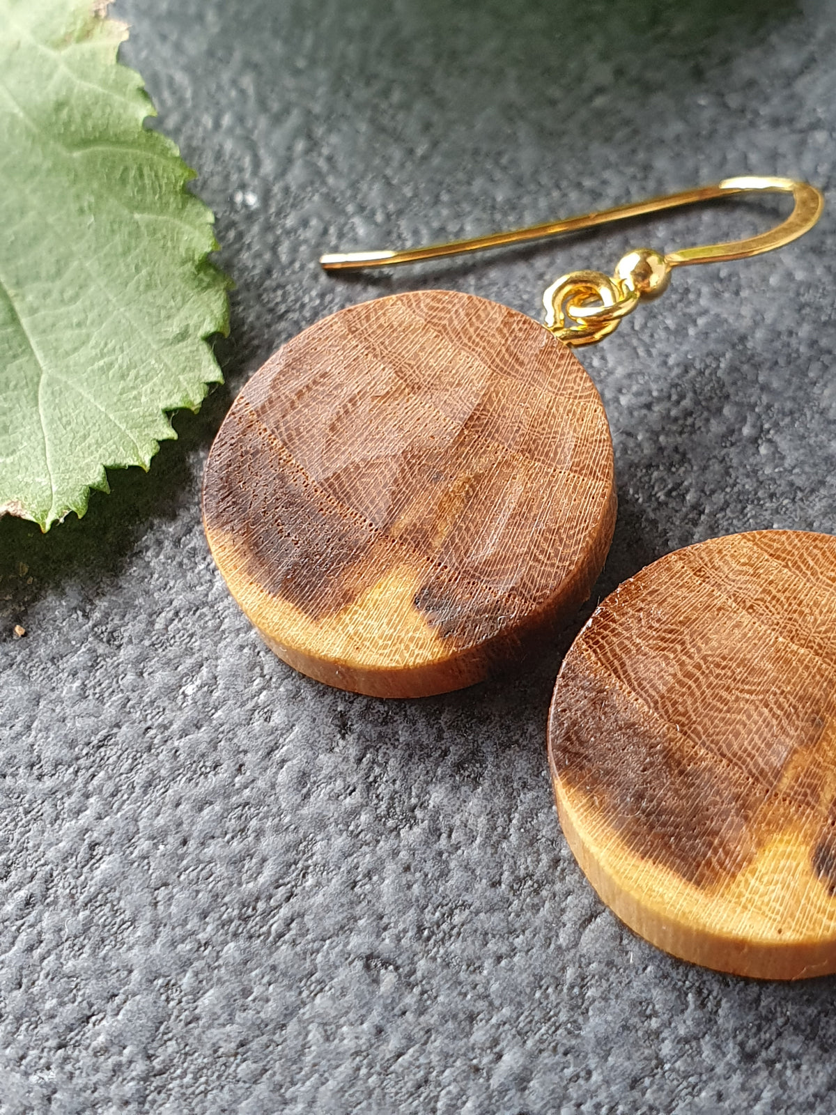 Elm wood earrings