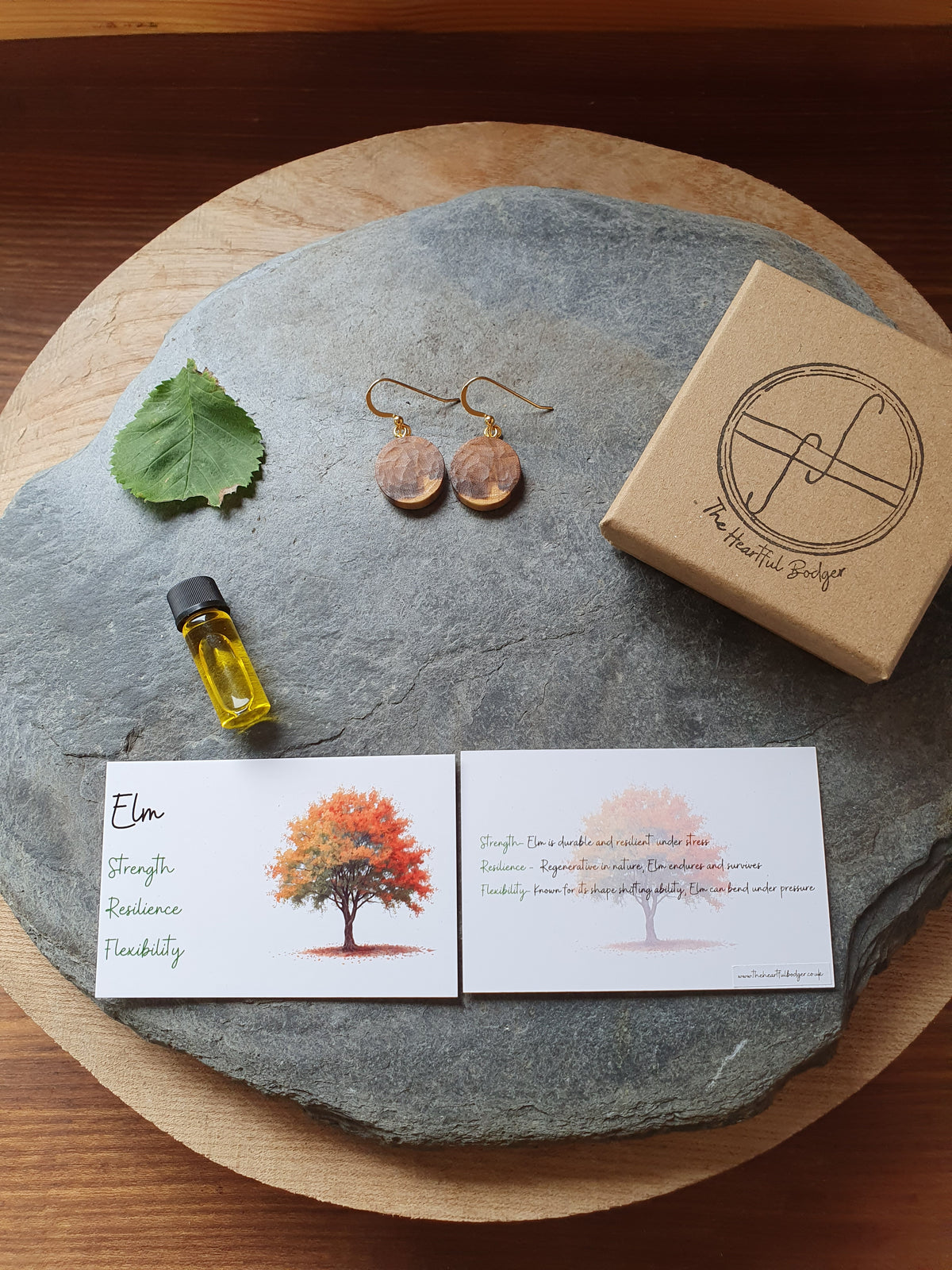 Elm wood earrings