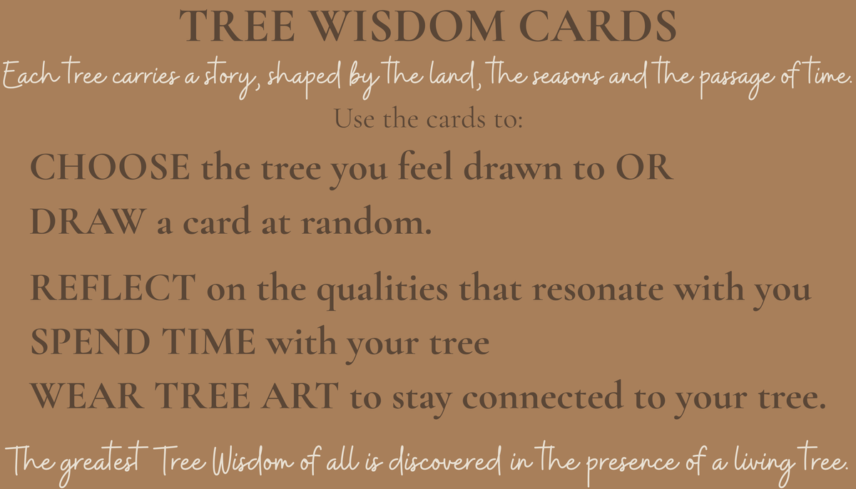 Tree Wisdom Cards